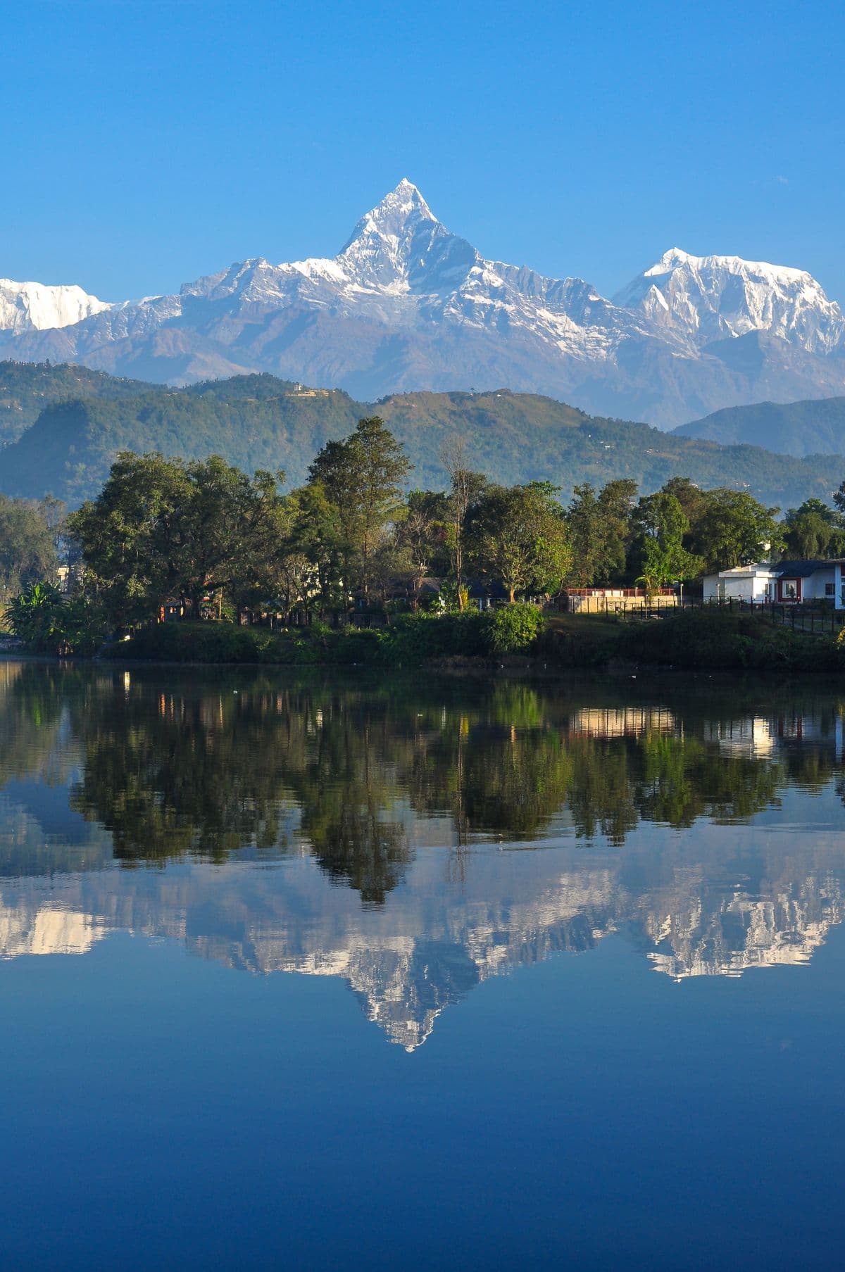 Machhapuchhre reflected in Phewa Lake, Pokhara